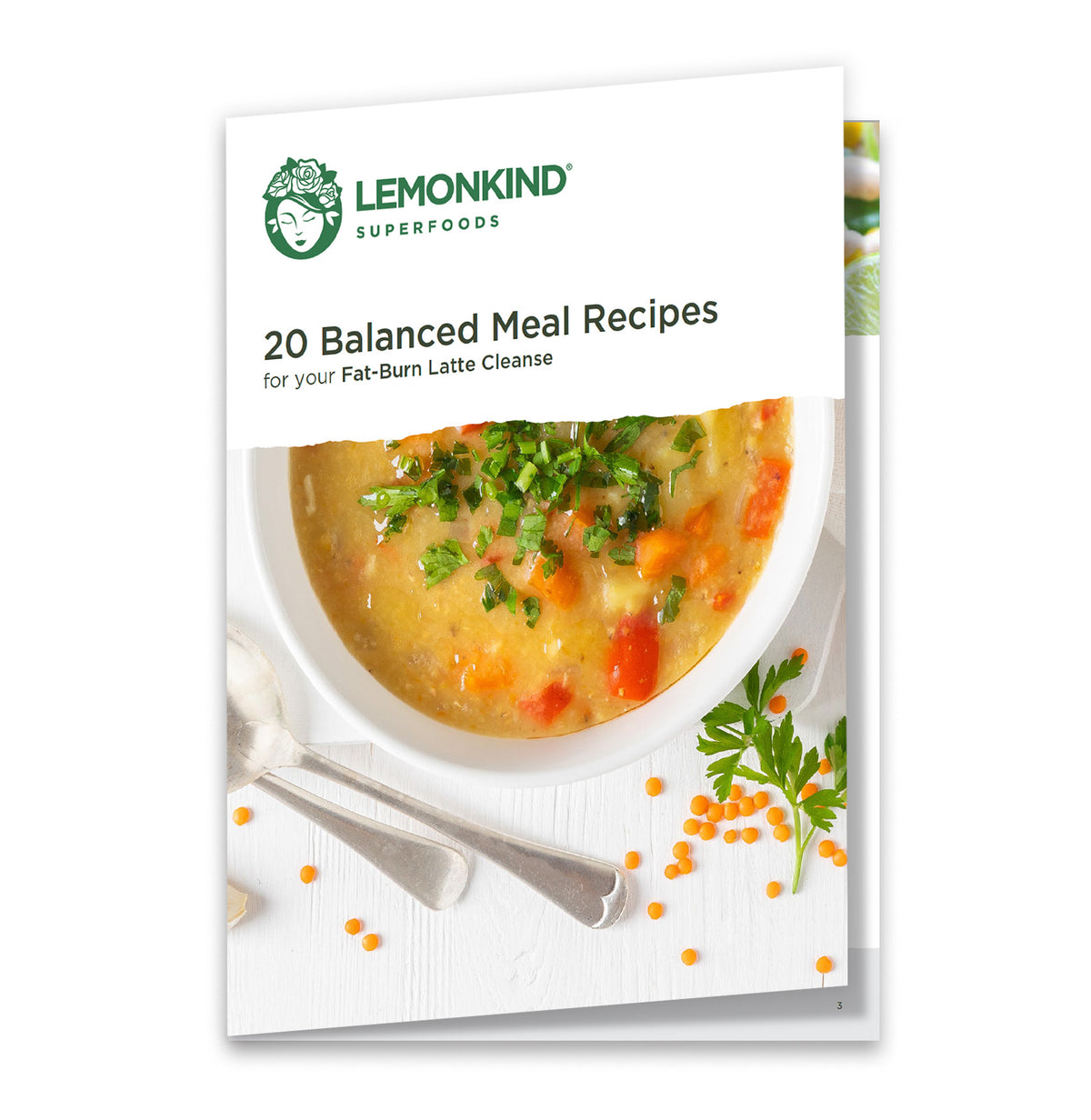 Cover of Free 20 Meal Recipes PDF 